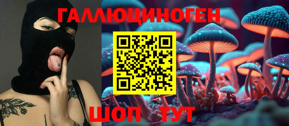 Галлюциногенные грибы Cubensis  Вход с VPN  Верхняя Салда 